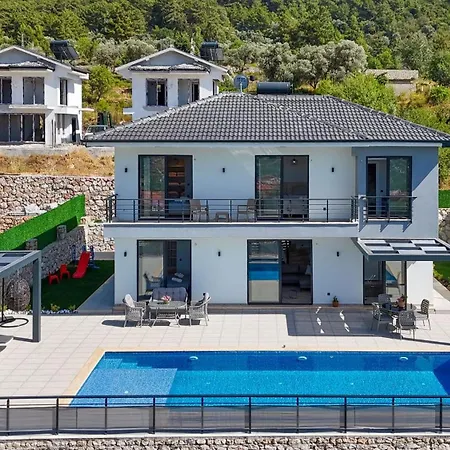 빌라 Defne 페티예