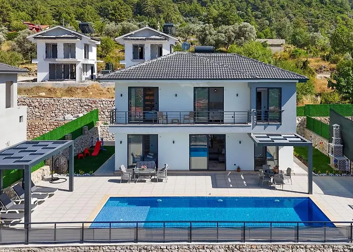 빌라 Defne 페티예